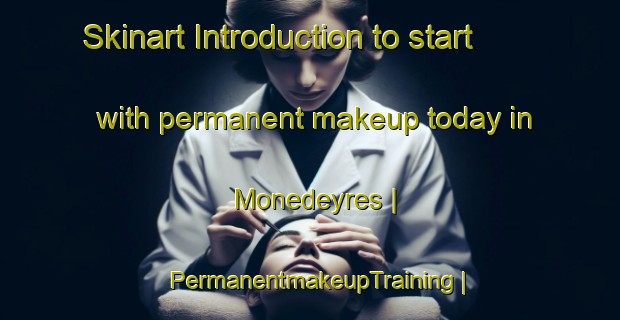 Skinart Introduction to start with permanent makeup today in Monedeyres | PermanentmakeupTraining | PermanentmakeupClasses | SkinartTraining-France
